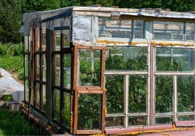 Gewächshaus aus alten Fenstern bauen: Das sollten Sie wissen!