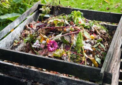 Kompost anlegen Anleitung
