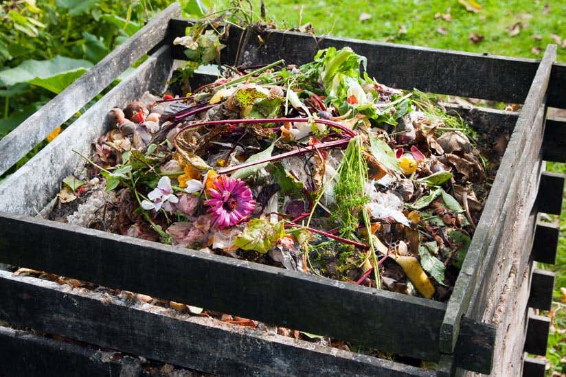 Kompost anlegen Anleitung